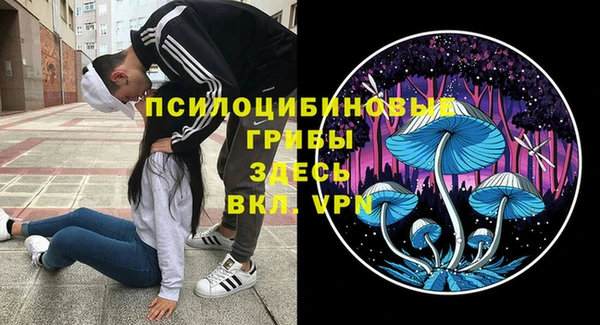 крисы Лабытнанги