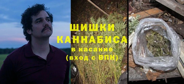 крисы Лабытнанги