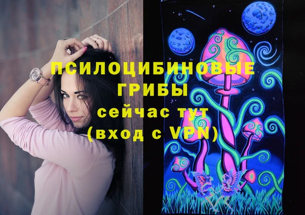 крисы Лабытнанги