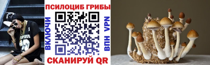 Псилоцибиновые грибы Psilocybe  Муравленко 
